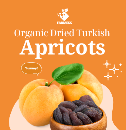 Farmeks: Your Ultimate Source for Organic Dried Turkish Apricots -  Nature's Nutritious Delight