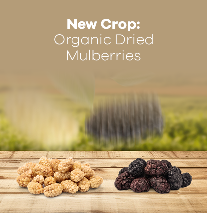 New Crop: Organic Dried Mulberries