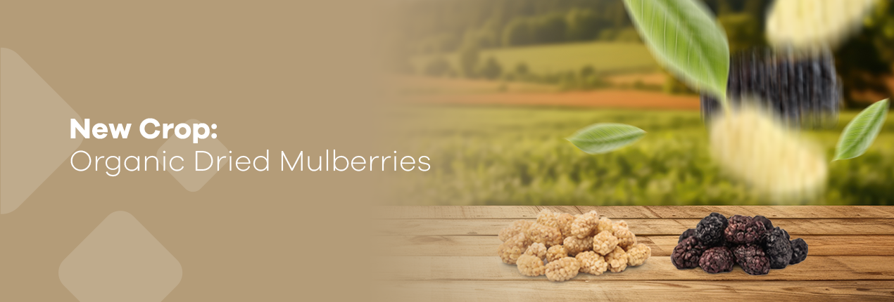 New Crop: Organic Dried Mulberries