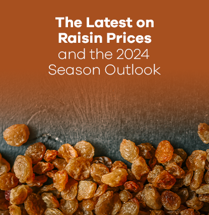 Raisin Prices and the 2024 Season