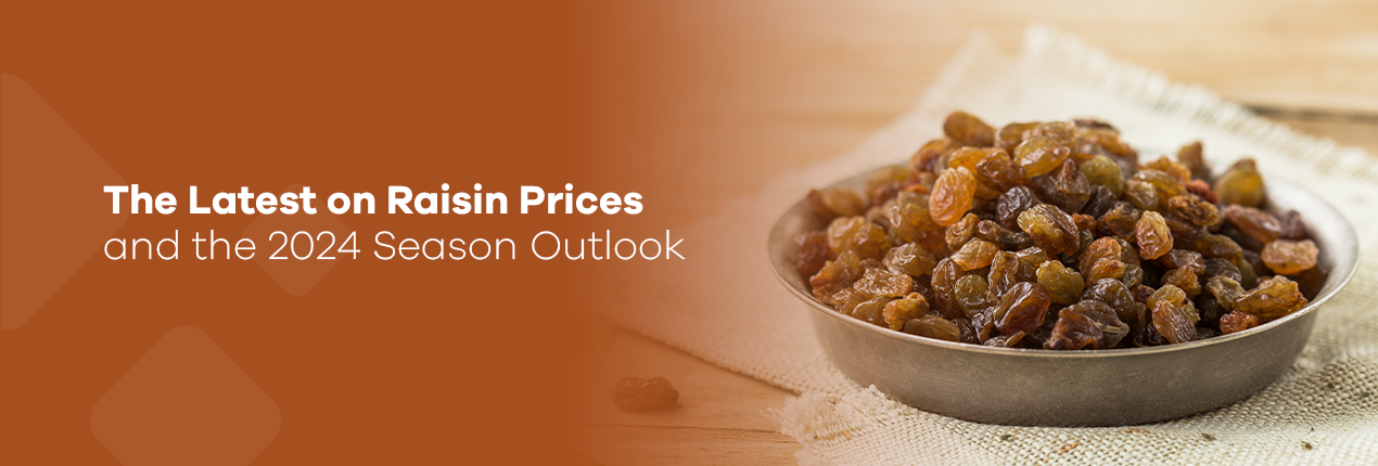 Raisin Prices and the 2024 Season